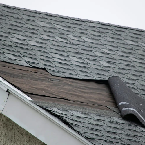 Close up of wind lifted asphalt shingles peeled back to expose roof felt underlayment