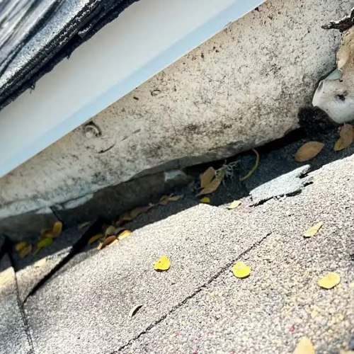 Close up view of a gap underneath roof wall flashing with trapped dry leaves on shingle surface